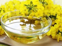Benefícios do óleo de canola para emagrecer