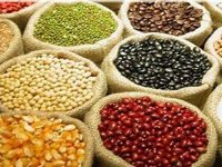 Sementes que ajudam a emagrecer