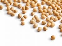 Propriedades da soja