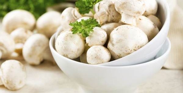 Dieta de champignons para eliminar gordura