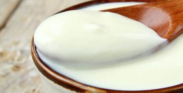 Prepare um delicioso iogurte grego caseiro