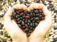 3 Benefícios dos feijões para a saúde