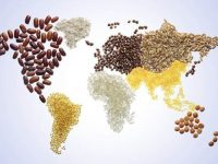 As dietas mais saudáveis do mundo