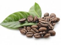 O que é a pílula de extrato de café verde para perder peso