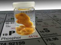 Alimentos ricos em fósforo