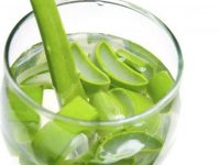 Emagrecer com aloe vera