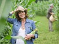 Os benefícios do milho para a saúde