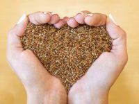 Propriedades da Linhaça