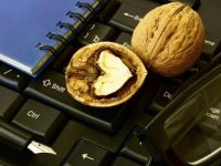 Alimentos energéticos para o trabalho