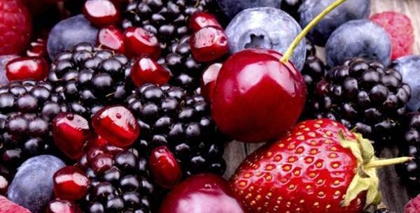 Benefícios de 5 frutas silvestres