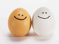 5 Verdades do ovo que vai te surpreender