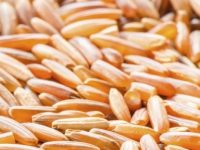 5 razões para comer arroz integral