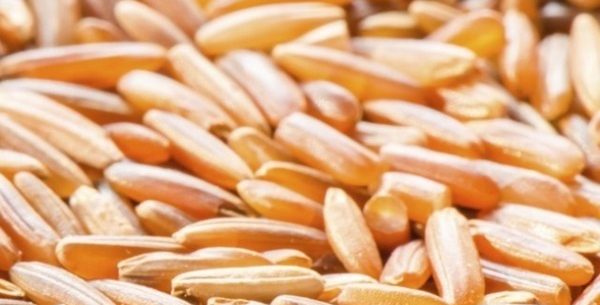 5 razões para comer arroz integral