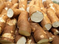 Benefícios da mandioca