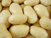 Benefícios da batata