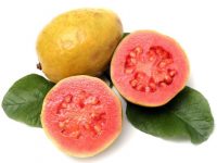 Benefícios da goiaba