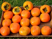 Benefícios do caqui