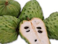 Benefícios da graviola