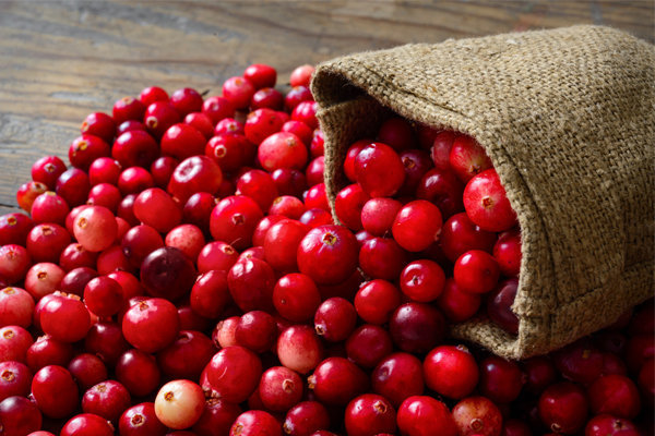 Benefícios Do Cranberry - Dicas Dieta