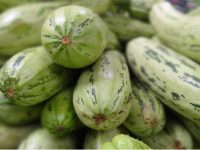 Benefícios da abobrinha