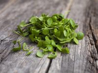 Benefícios da rúcula