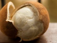 Benefícios do cupuaçu