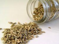 Benefícios da erva doce