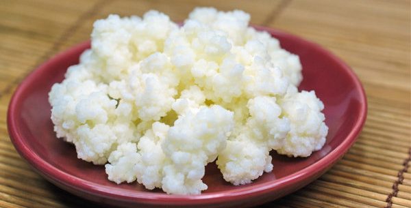 17 Propriedades do kefir que você precisa conhecer