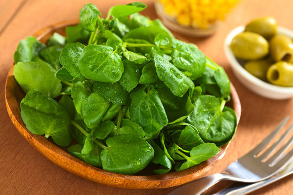 alimentos para aumentar imunidade