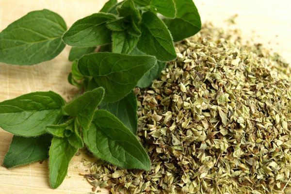 alimentos para aumentar imunidade
