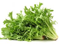 Conheça os benefícios da chicória e aprenda receitas rápidas e práticas com esta verdura